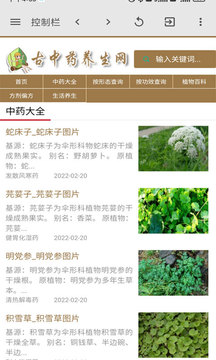 古中药养生网