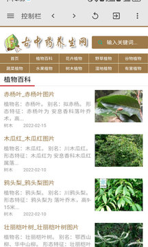 古中药养生网
