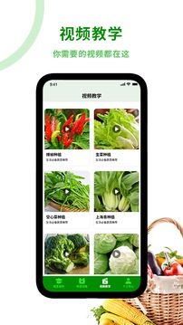 爷爷的小菜院