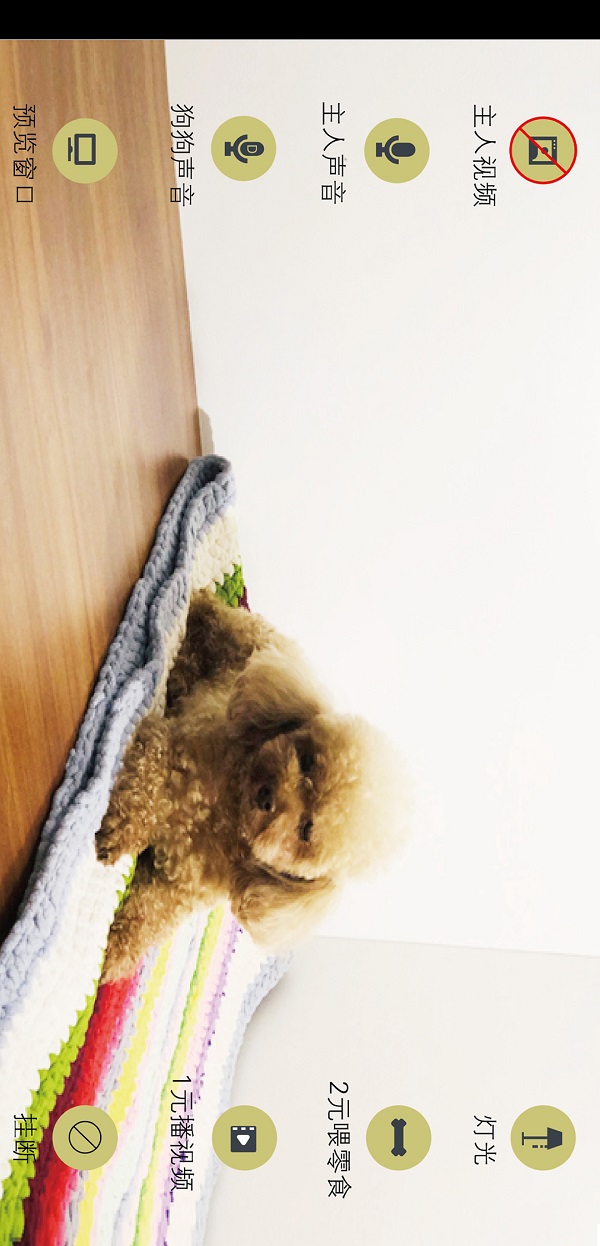 doghome宠物互动寄养软件